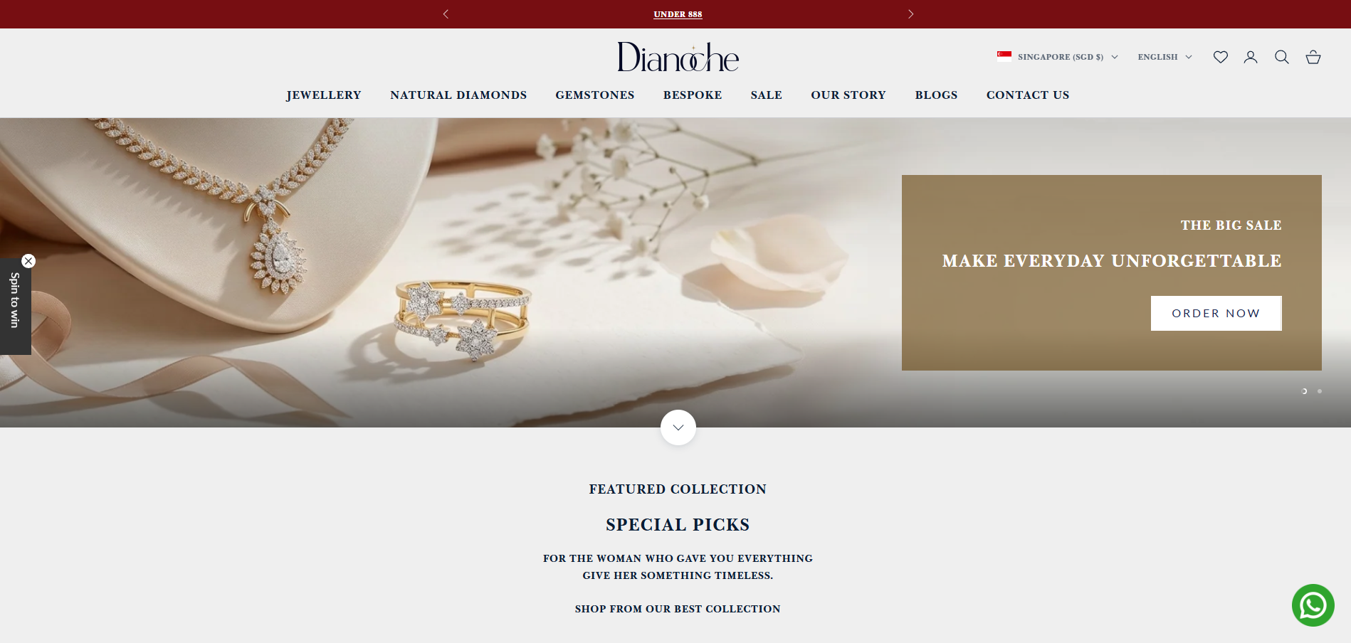 Dianoche-web-development