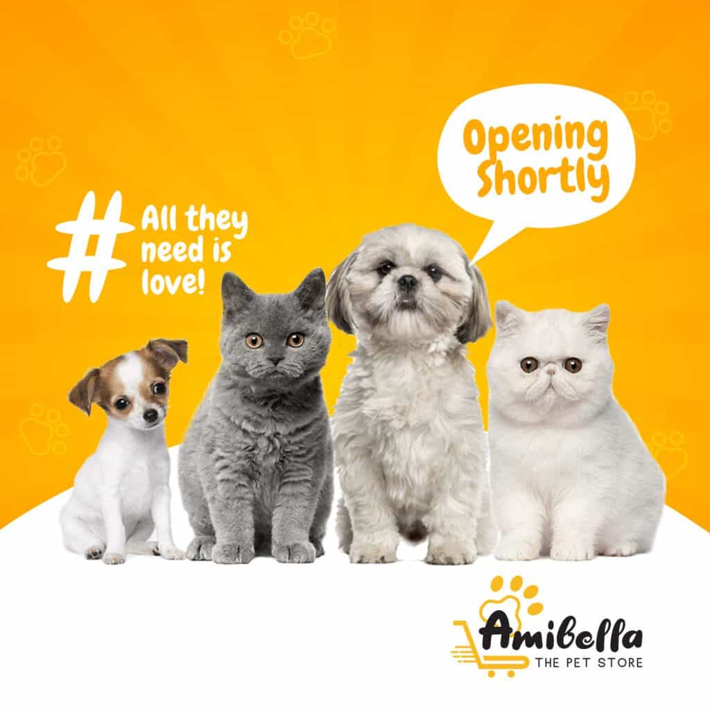 Amibella Pet Store Social Media Marketing in Hyderabad Social Media Marketing In Bangalore Social Media Marketing in India