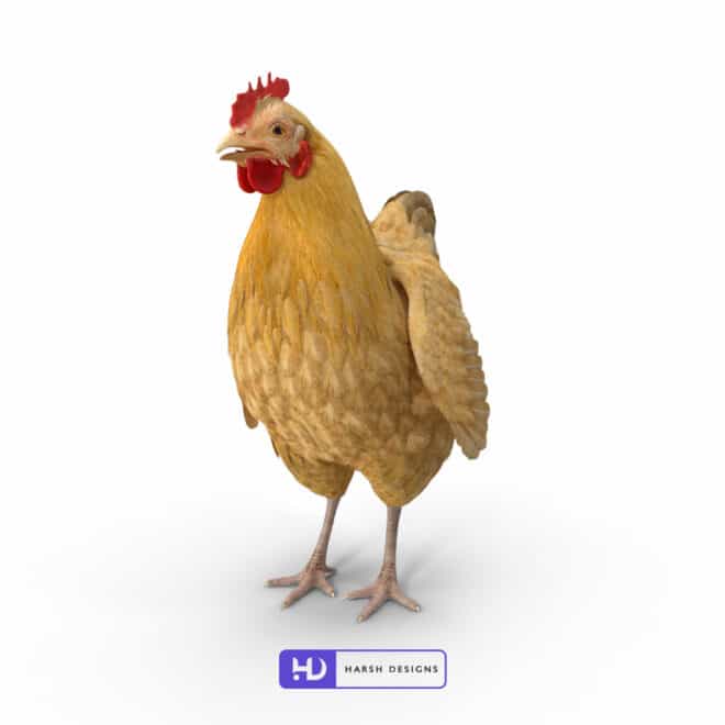Chicken - 3D Modeling for Product Packaging in Hyderabad, India