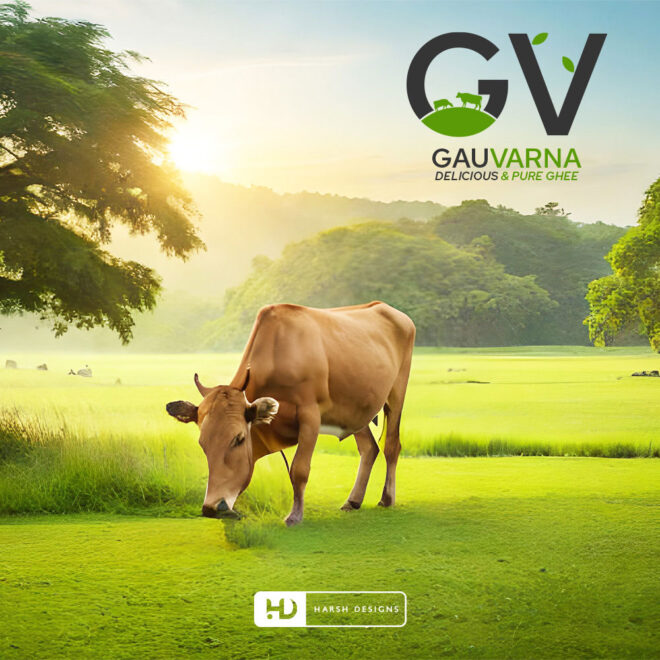 Gauvarna milk dairy farm monogram logo design for dairy branding created by Harsh Designs logo design service in Hyderabad, Bangalore, and across India (1)