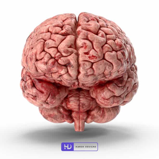Human Brain - 3D Modeling for Product Packaging in Hyderabad, India 2