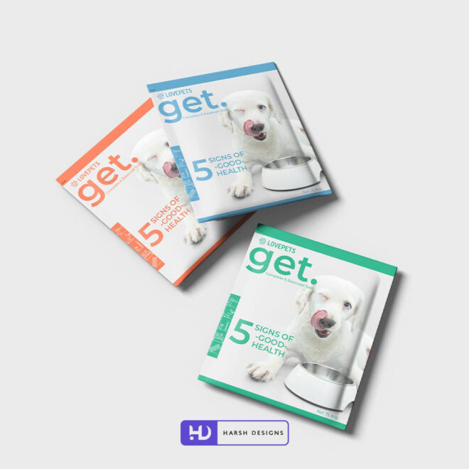 LovePet Food Pouch Pack Packaging Design, Product Design in Hyderabad, Package Design and Graphic Design Service in Hyderabad