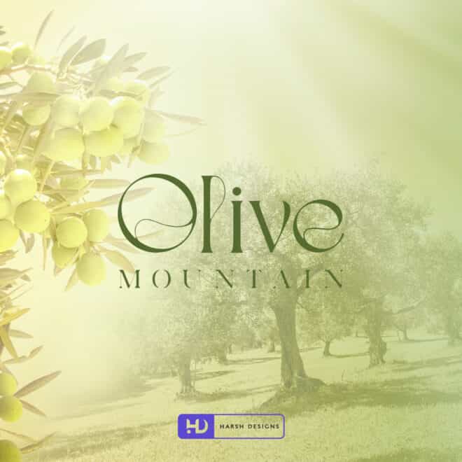 Olive Mountain - WordMark Design - Olive Oil Logo Design - Logo Design Service in Hyderabad-2