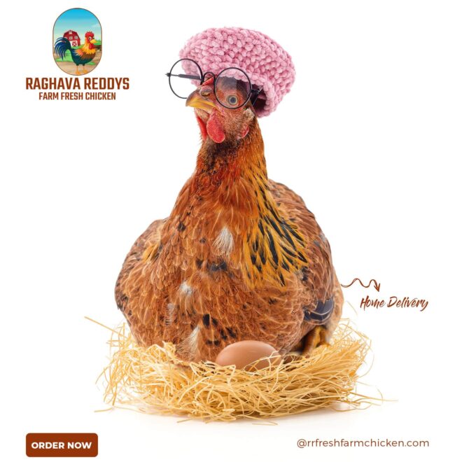 Raghava Reddy Farm Fresh Chicken - Social Media Marketing SMM service in Hyderabad and India (7)