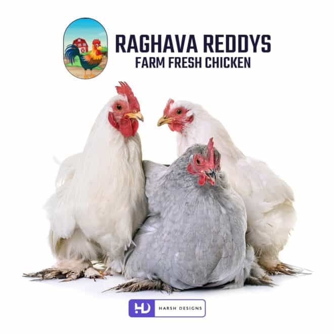 Raghava Reddys - Farm Fresh Chicken - Mascots Logo Design - Chicken Logo Design - Corporate Logo Design - Logo Design in Hyderabad - Logo Design in Bangalore