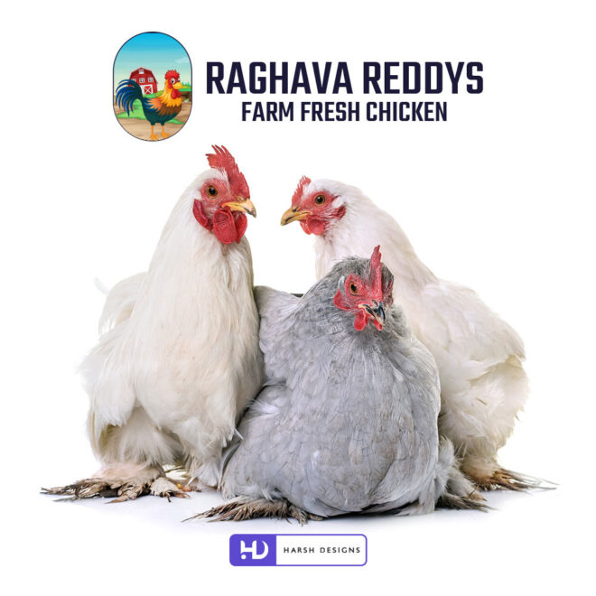 Raghava Reddys Farm Fresh Chicken mascot logo design with chicken illustration for poultry and food branding created by Harsh Designs logo design service in Hyderabad, Ba (1)
