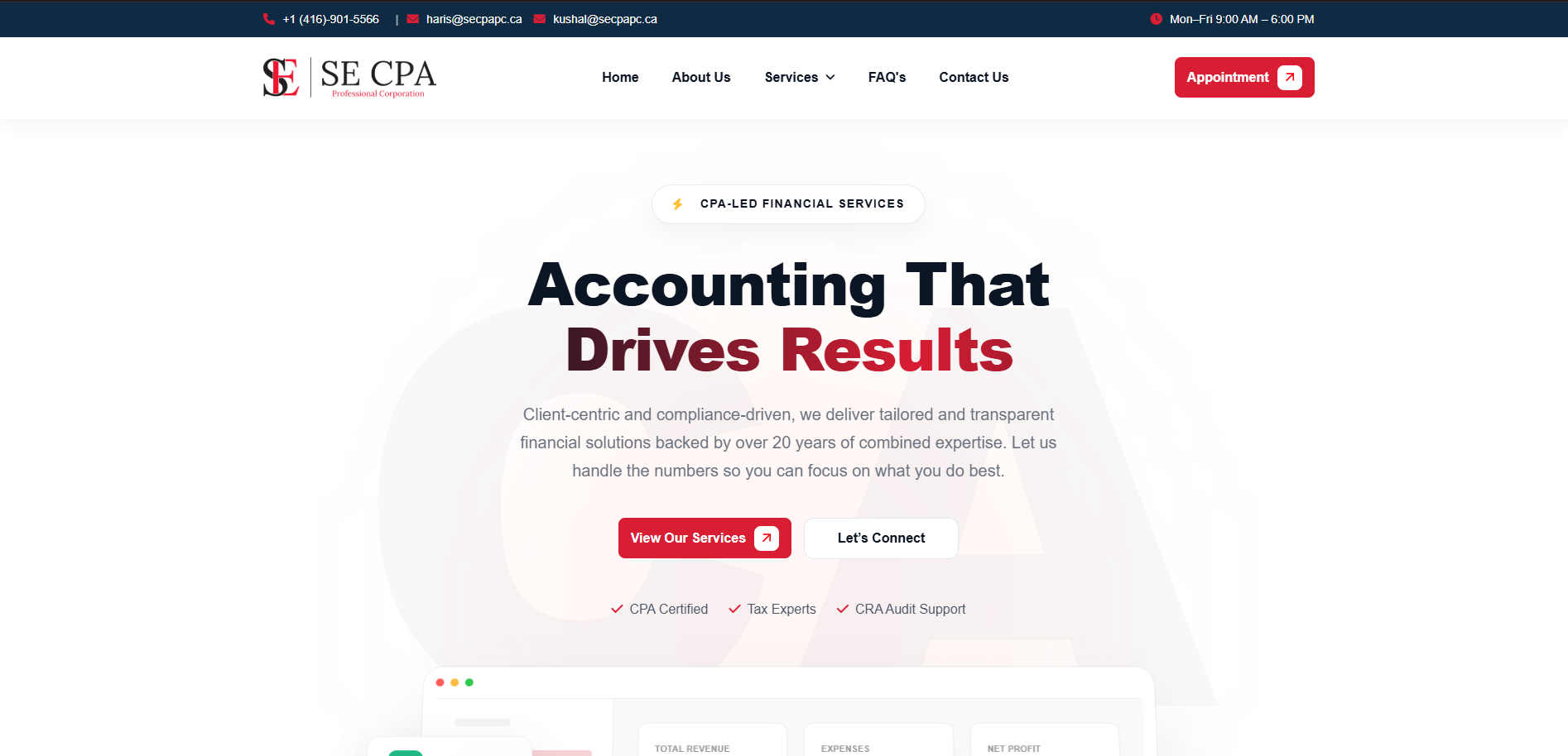 SE CPA Professional Corporation-web-development