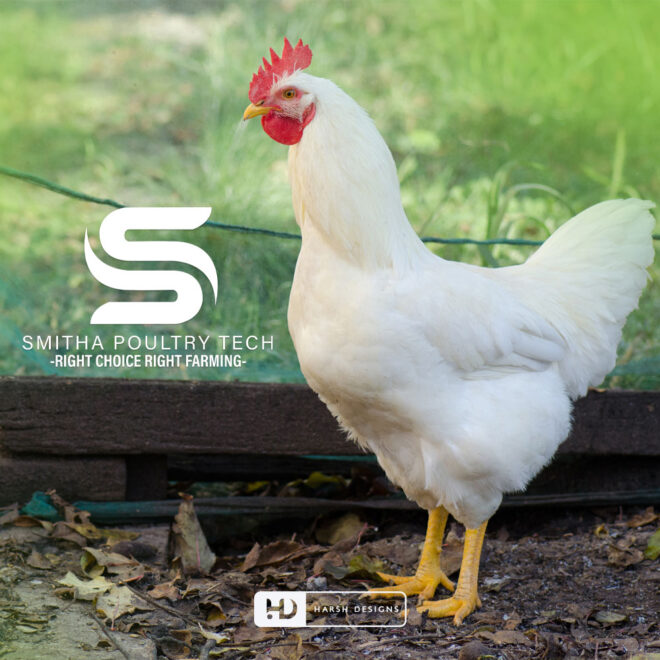 Smitha Poultry Tech monogram logo design with letter S and U for poultry and corporate branding created by Harsh Designs graphic (1)