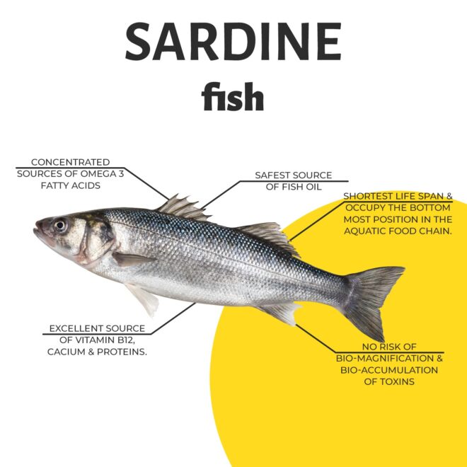 TruRadix - Social Media Marketing SMM service in Hyderabad and India (15)