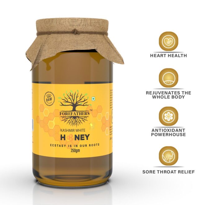 TruRadix - Social Media Marketing SMM service in Hyderabad and India (8)