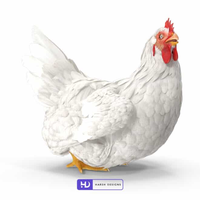 White Rigged Chicken - 3D Modeling for Product Packaging in Hyderabad, India