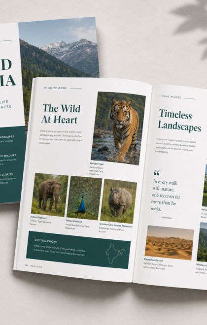Wild-India-Travel-And-Wildlife-Booklet-Design-Service-in-Hyderabad-3