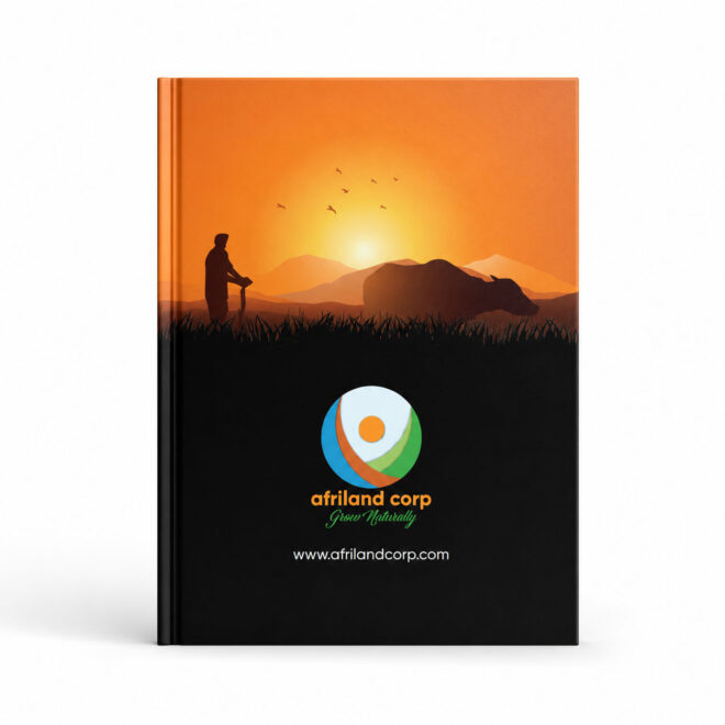 bluestar-group-hotel-brochure-design-service-in-hyderabad-1