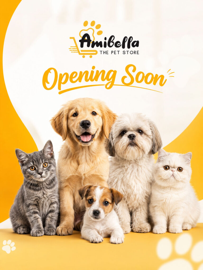 pet-store-pet-care-social-media-marketing-in-hyderabad-smm-in-hyderabad-(1)