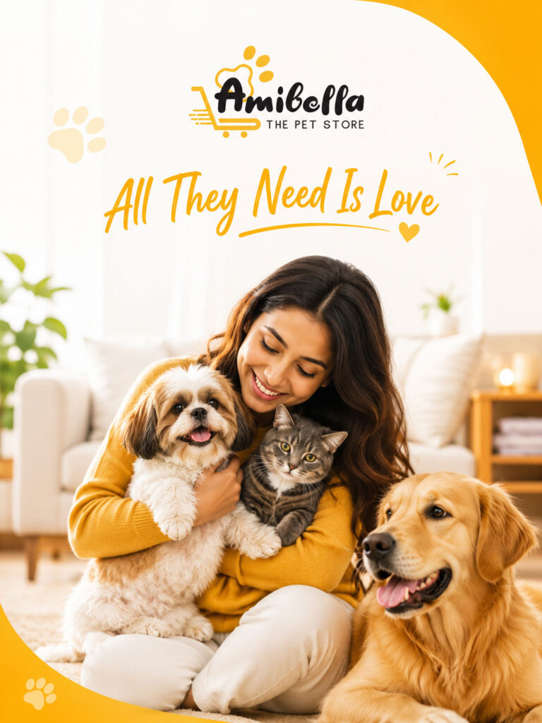 pet-store-pet-care-social-media-marketing-in-hyderabad-smm-in-hyderabad-(2)