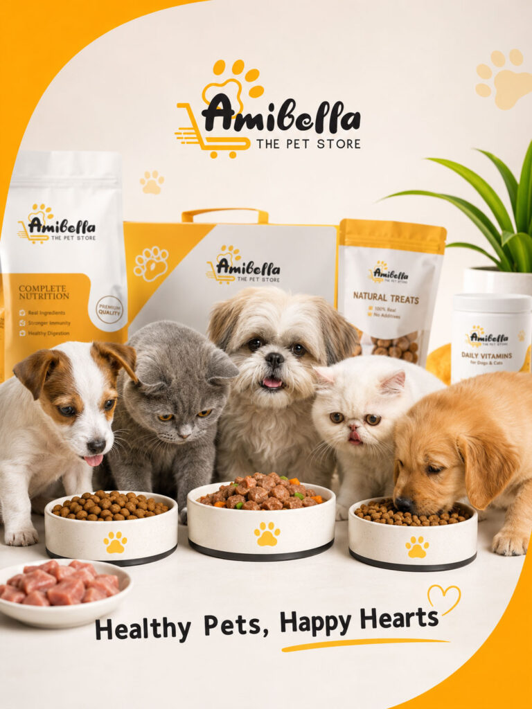pet-store-pet-care-social-media-marketing-in-hyderabad-smm-in-hyderabad-(4)